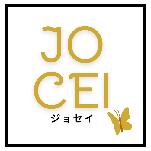 JOCEI STORE